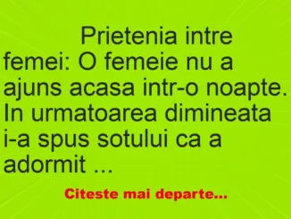 Banc: 
                    Prietenia intre femei: O femeie nu a ajuns acasa intr-o…